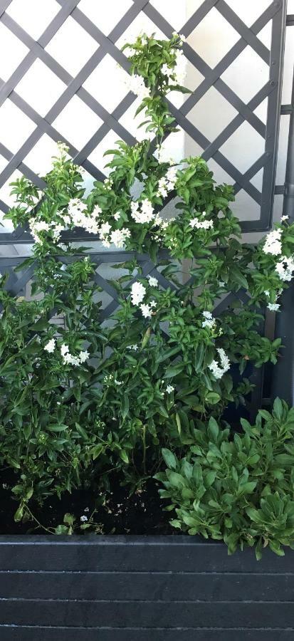4 In Piazza Bed and Breakfast Sorso Εξωτερικό φωτογραφία