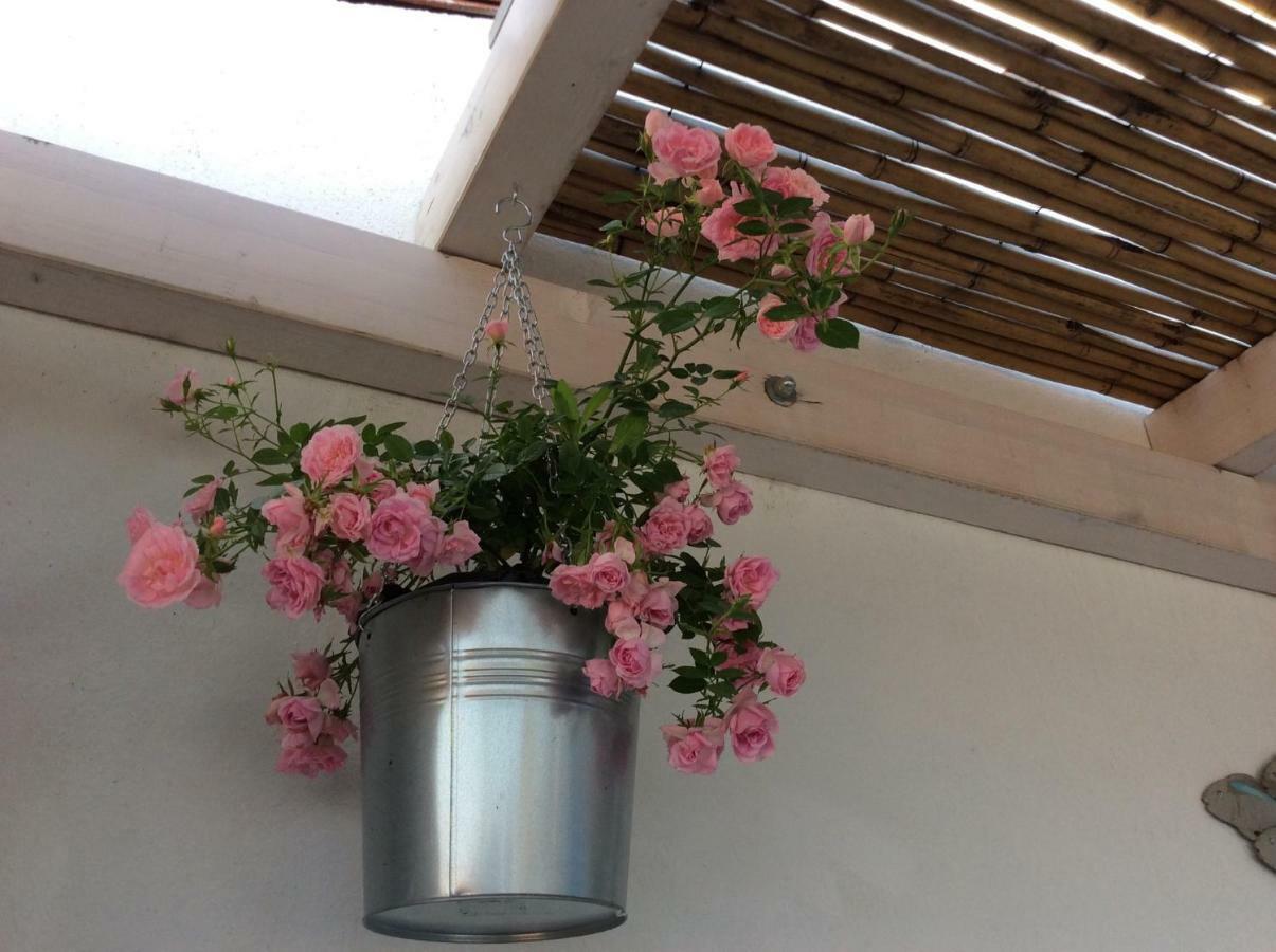 4 In Piazza Bed and Breakfast Sorso Εξωτερικό φωτογραφία